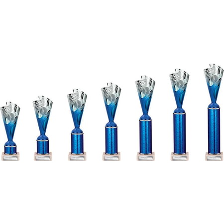 Rodeo Multisport Tube Trophy Silver & Blue