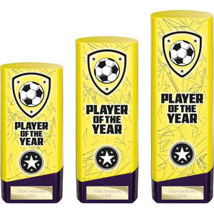 Prime Heavyweight Player of Year Yellow & Purple