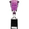 Cobra Star Multisport Cup Silver & Purple