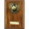 Cobra Plaque Cricket Award Walnut