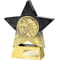 Superstar Darts Award Black & Gold