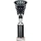 Cobra Star Multisport Tube Trophy Silver & Black