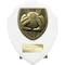 Cobra Shield Football Goal Keeper Award Arctic