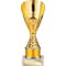 Rising Stars Plastic Trophy