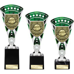 Cobra Star Cup Player of Year Silver & Green