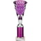 Cobra Star Multisport Tube Trophy Silver & Purple