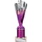 Rodeo Multisport Tube Trophy Silver & Purple