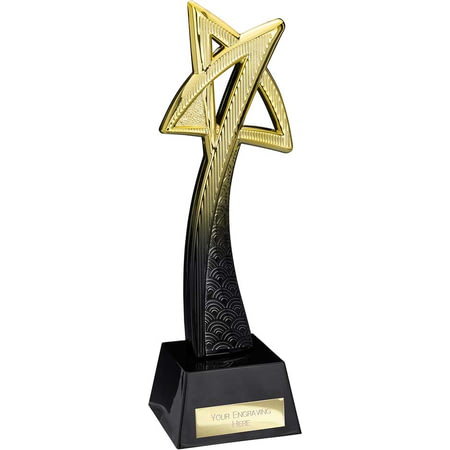 Star Maker Award Gold & Carbon Black 260mm