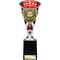 Cobra Star Cup Managers Player Silver & Red