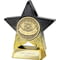 Superstar Science Award Black & Gold