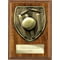 Cobra Plaque Cricket Award Walnut