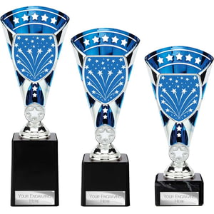 Cobra Star Multisport Cup Silver & Blue