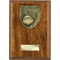 Cobra Plaque Netball Award Walnut