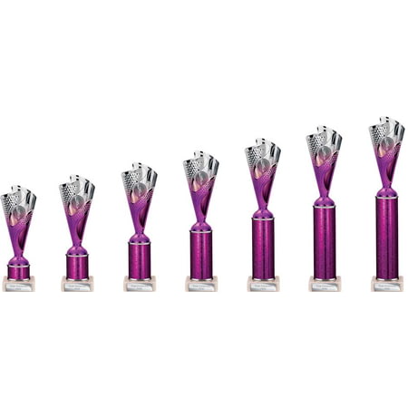 Rodeo Multisport Tube Trophy Silver & Purple