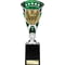 Cobra Star Cup Swimming Silver & Green