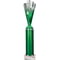 Rodeo Multisport Tube Trophy Silver & Green