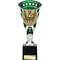 Cobra Star Cup Swimming Silver & Green