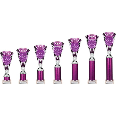 Cobra Star Multisport Tube Trophy Silver & Purple