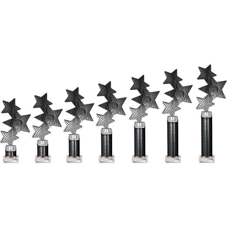 Trinity Star Multisport Tube Trophy Black & Silver