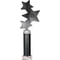 Trinity Star Multisport Tube Trophy Black & Silver