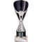 Rising Stars Plastic Trophy