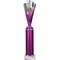 Rodeo Multisport Tube Trophy Silver & Purple