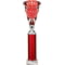 Cobra Star Multisport Tube Trophy Silver & Red