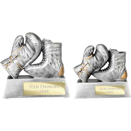 Power Boxing Resin Award Antique