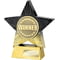 Superstar Winner Award Black & Gold