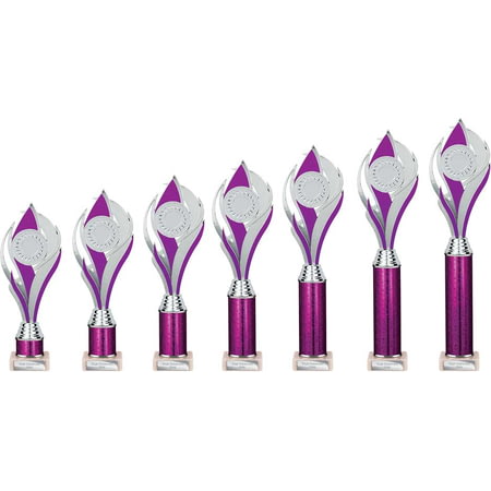 Volcano Multisport Tube Trophy Silver & Purple