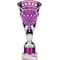 Cobra Star Multisport Tube Trophy Silver & Purple