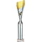 Predator Multisport Tube Trophy Silver & Gold