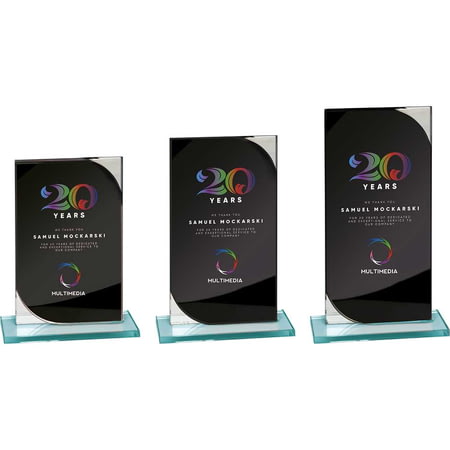 Seismic Multisport Mirror Glass Award Black & Silver