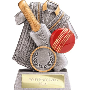 Spirit Cricket Resin Award Antique Silver & Gold100mm