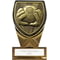 Fusion Cobra Goal Keeper Award Black & Gold