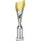 Predator Multisport Tube Trophy Silver & Gold