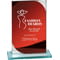 Seismic Multisport Mirror Glass Award Red & Silver