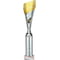 Predator Multisport Tube Trophy Silver & Gold