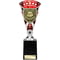 Cobra Star Cup Top Scorer Silver & Red