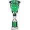 Cobra Star Multisport Tube Trophy Silver & Green