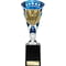 Cobra Star Cup Swimming Silver & Blue