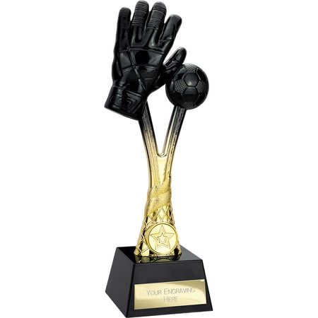 Raider Goalkeeper Award Carbon Black & Gold 260mm