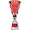 Cobra Star Multisport Tube Trophy Silver & Red