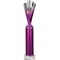 Rodeo Multisport Tube Trophy Silver & Purple