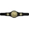 Champion Belt Multisport Award