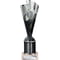 Rodeo Multisport Tube Trophy Silver & Black