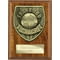 Cobra Plaque Thank you Coach Award Walnut