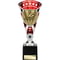 Cobra Star Cup Swimming Silver & Red